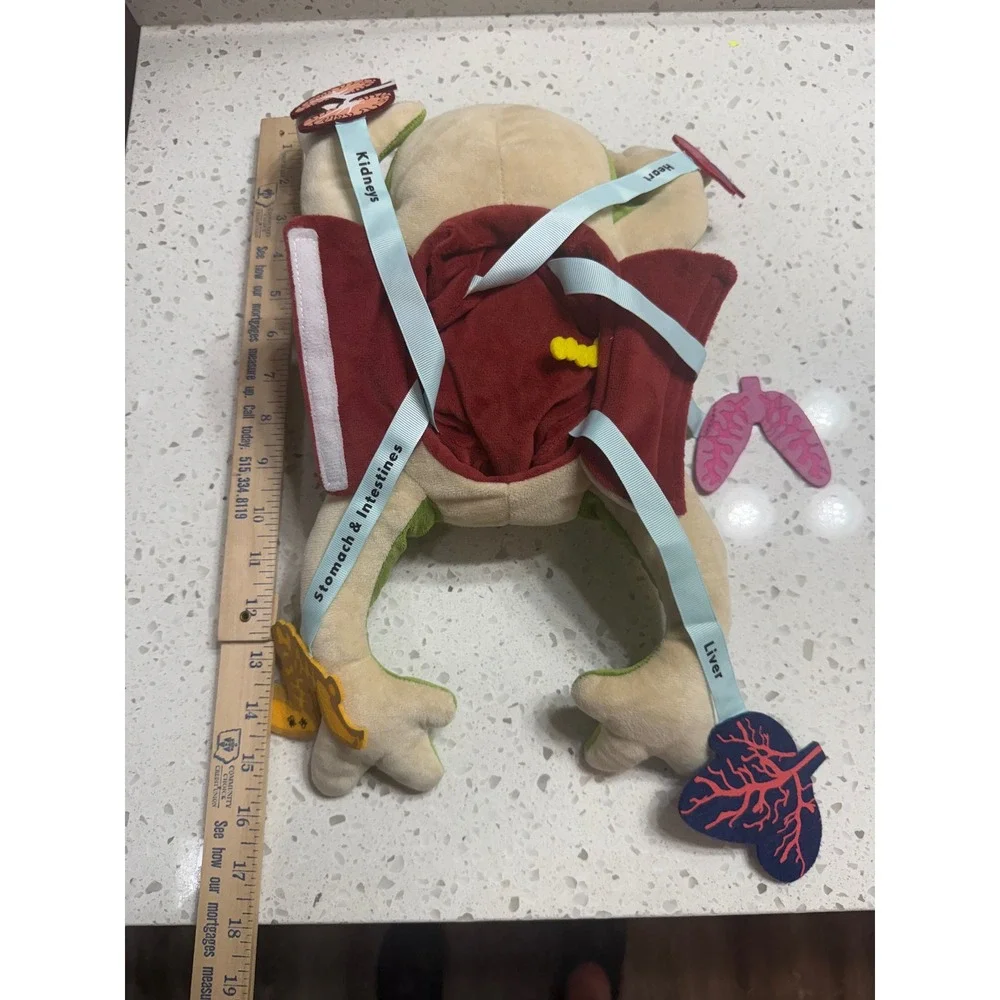 KiwiCo Dissection Frog Green EUC Anatomy Educational Plush Science Teaching Home